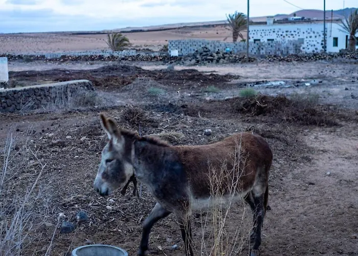 Casa Antonita, El Lugar Perfecto Descansar * Muñique